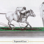 EquestriCizer